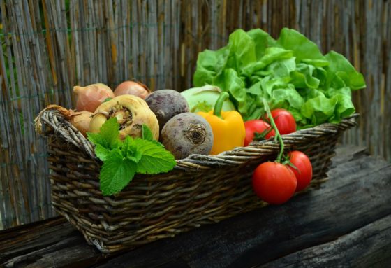 Fresh, organic farm-to-table produce
